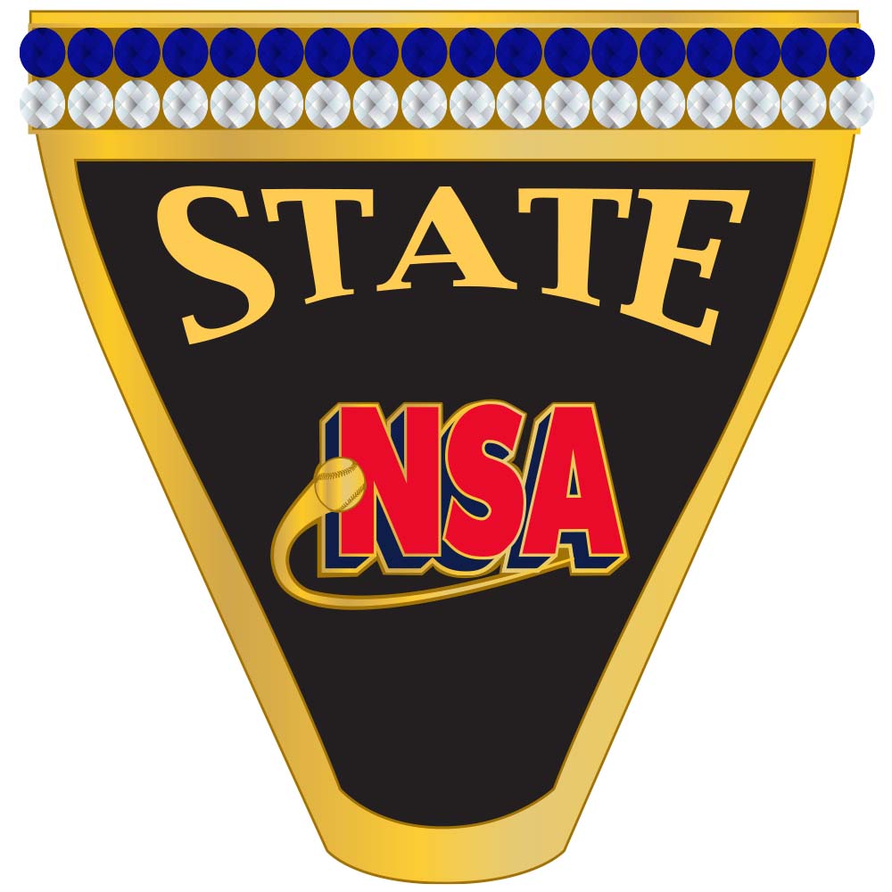 NSA State Ring - Image 2